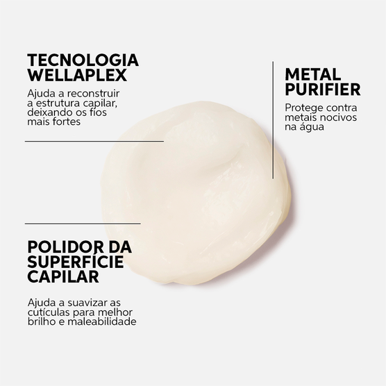 WELLA      COLOR MOTION  MASK 500ML